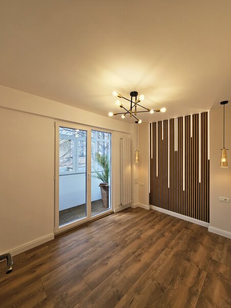 Piata Victoriei, Doctor Iacob Felix