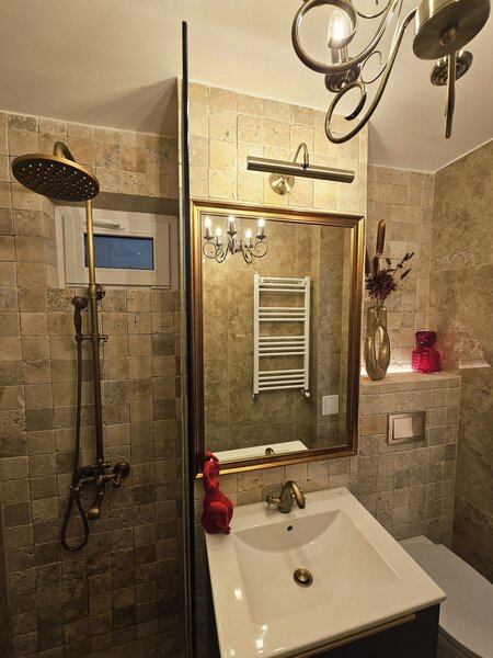 Piata Victoriei, Doctor Iacob Felix