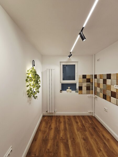 Piata Victoriei, Doctor Iacob Felix